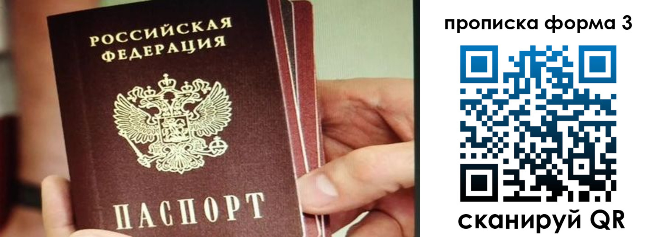 прописка законно в Далматово